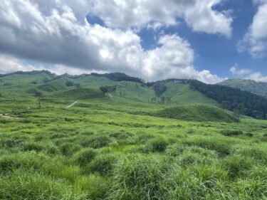 【砥峰高原】緑に輝く一大パノラマに感激！ススキの時期でなくとも素晴らしい景色が満喫できます。夏の砥峰高原を歩いて来ました。