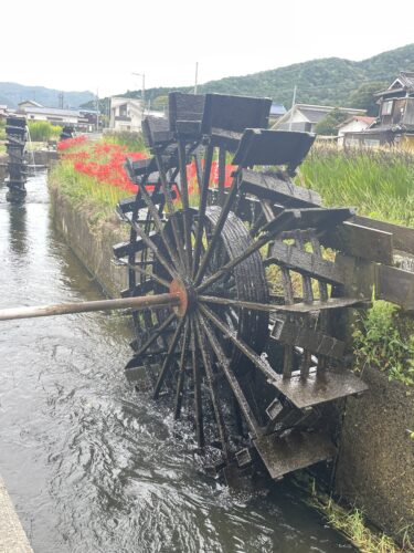 【新野の水車】写真スポットとしても人気。ダイナミックにまわる水車は四季折々の風景にマッチして、映える写真が撮れることまちがいなしです。（令和6年9月30日撮影）